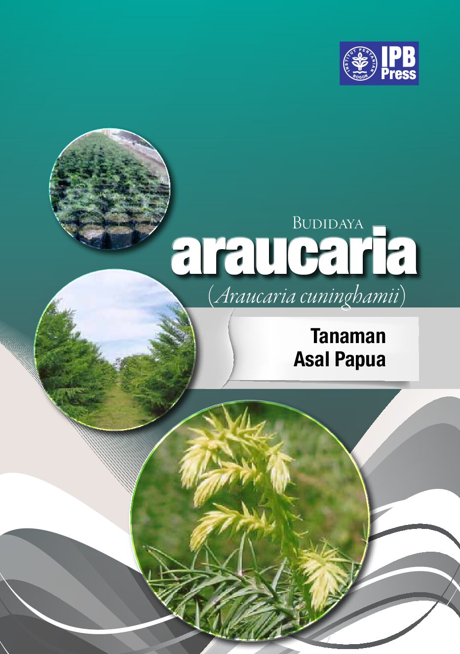 Cover Budidaya ARAUCARIA Tanaman Asal Papua Dedi Setiadi 2014